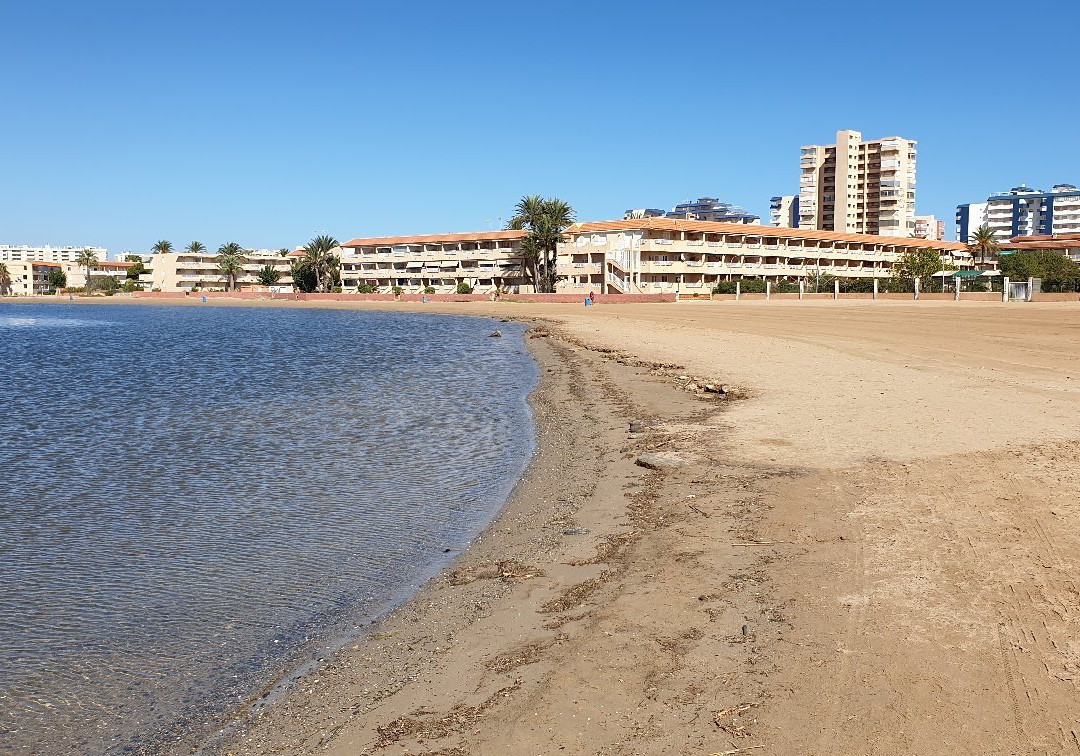 Playa Nuevo Puerto Bello景点图片