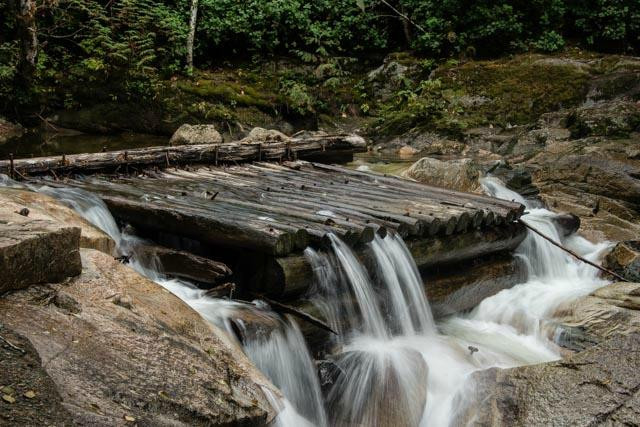Chapman Creek Hatchery-Sechelt必去景点