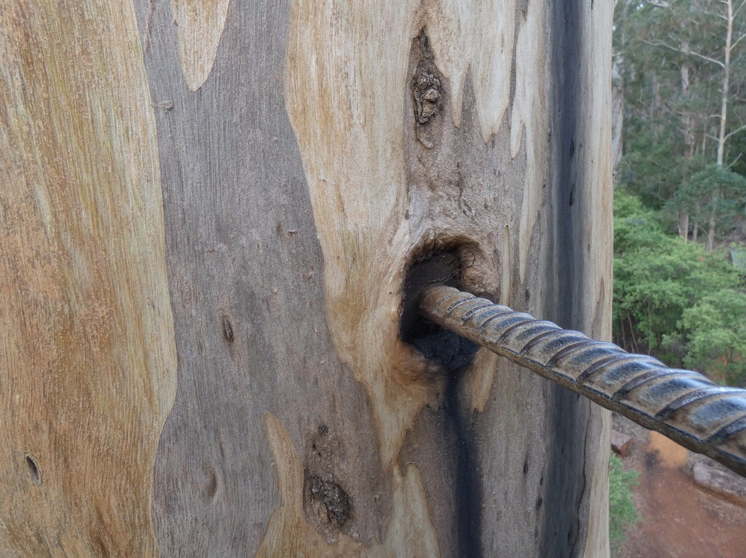 Warren National Park-彭伯顿必去景点