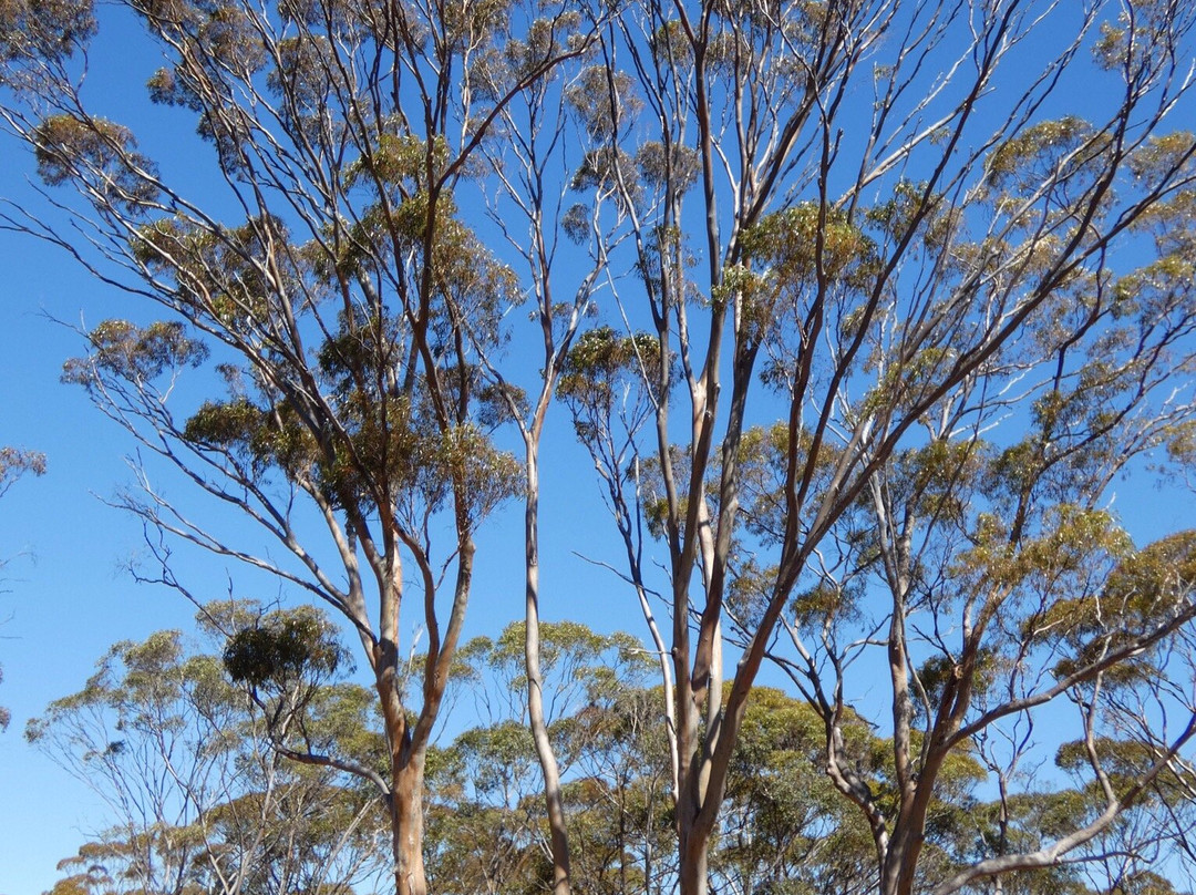 Ravensthorpe Range-Ravensthorpe必去景点