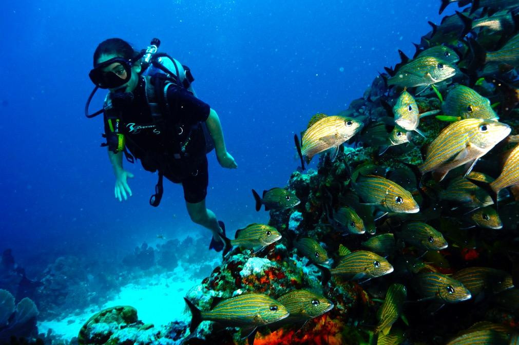Cancun Diving College景点图片
