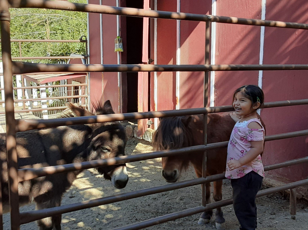 Willowbrook Farm-Oak Glen必去景点