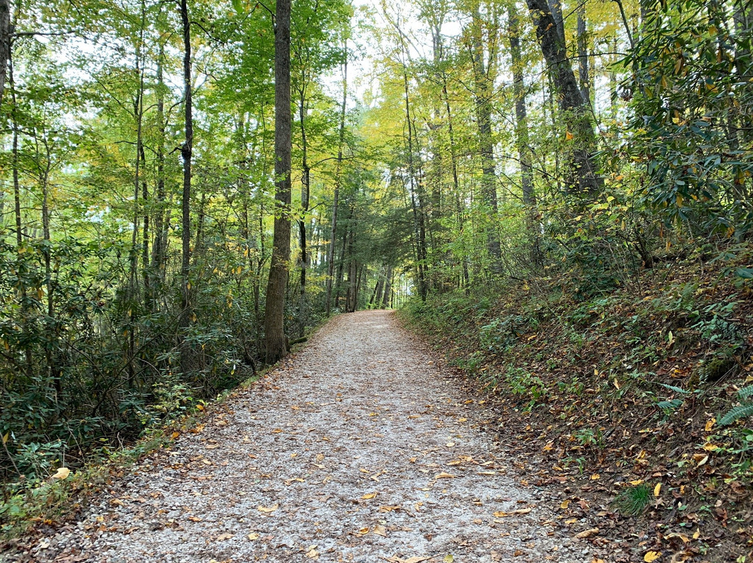 Linville Gorge Wilderness Area景点图片