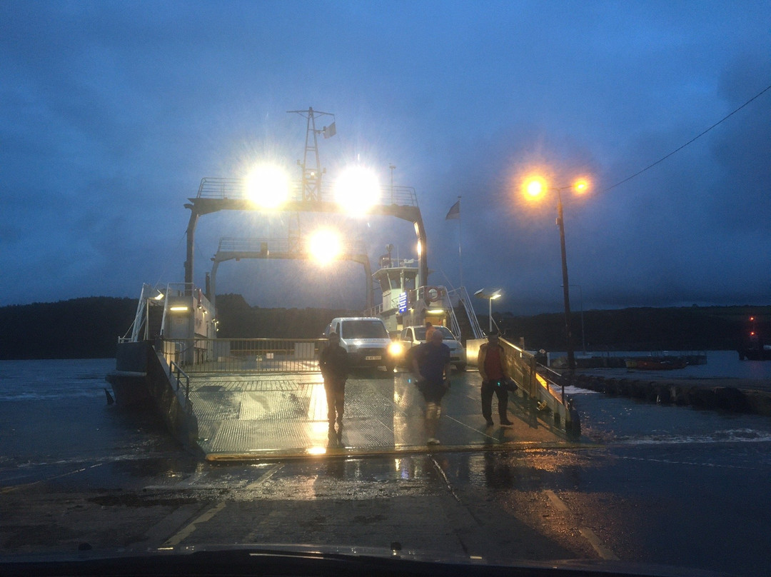 Passage East Car Ferry景点图片