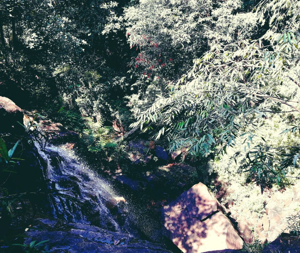 Makandawa Forest Reserve-Kitulgala必去景点