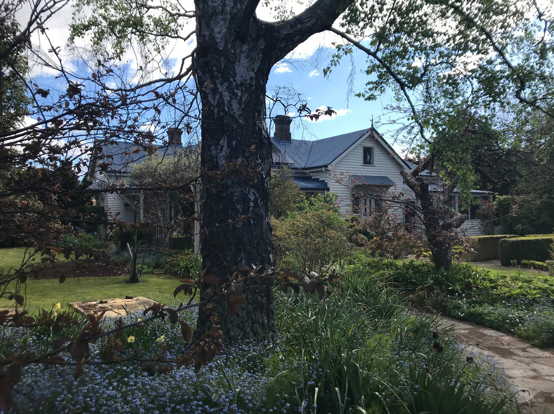 Tanglewood House主图