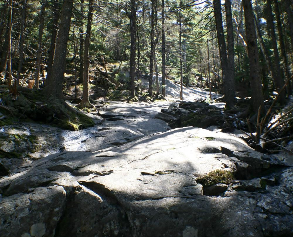 Mount Kearsarge景点图片