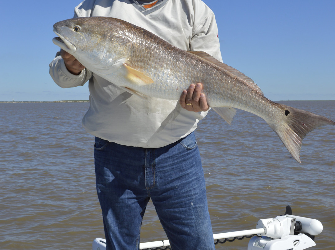 Rod Benders Fishing Charters景点图片