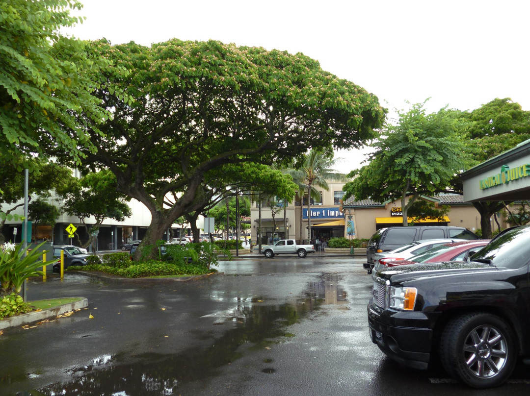 Kailua Square Shopping Center景点图片