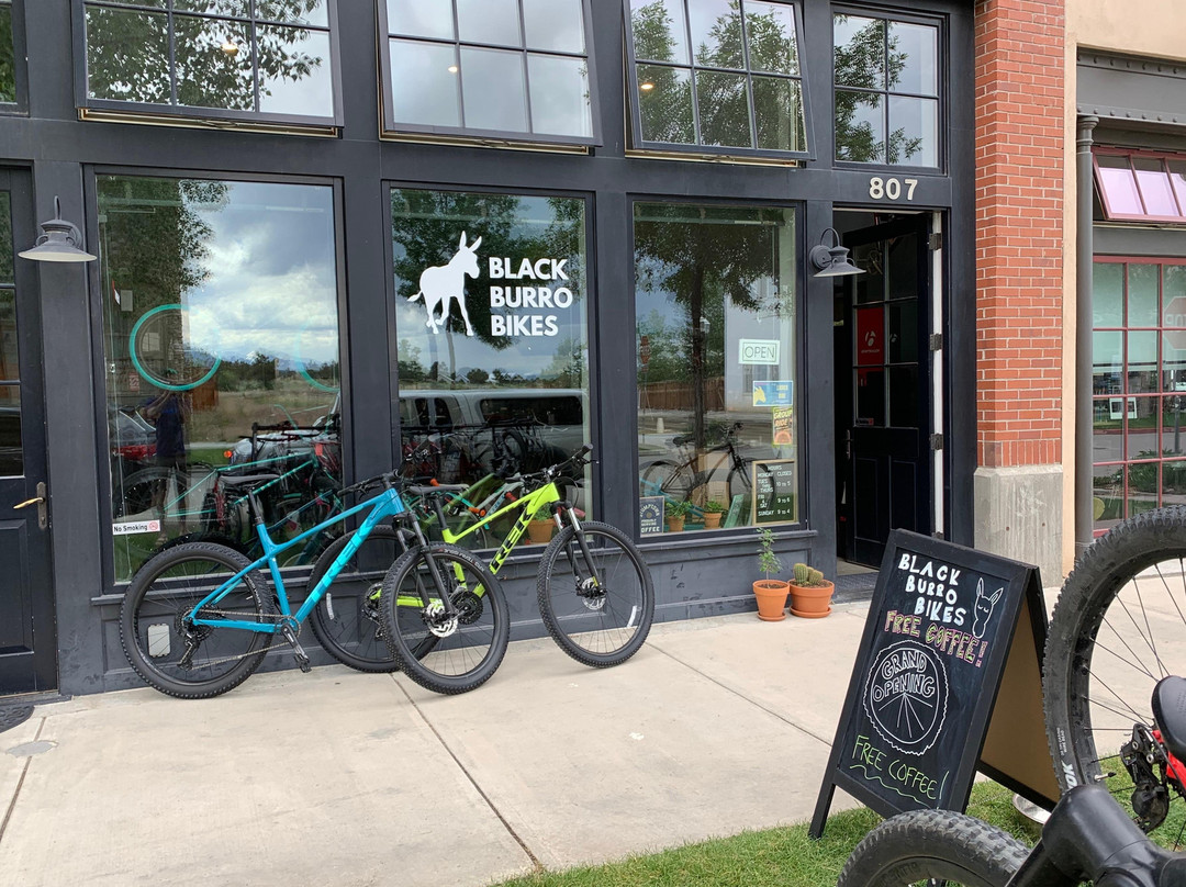 Black Burro Bikes-布埃纳维斯塔必去景点