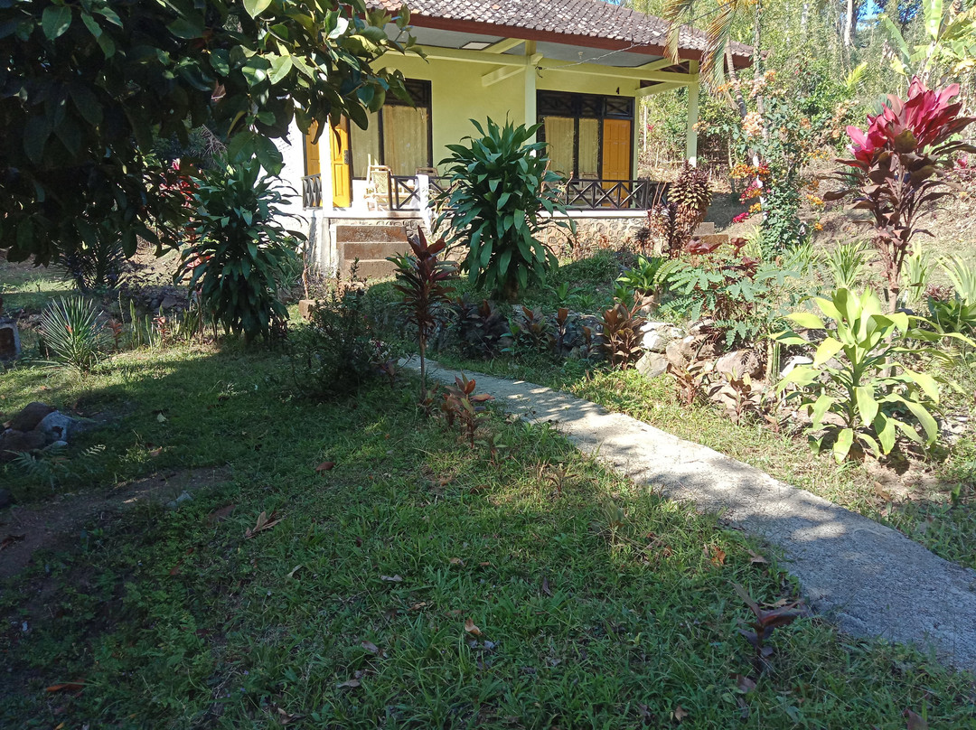 Bukit Senaru Homestay主图