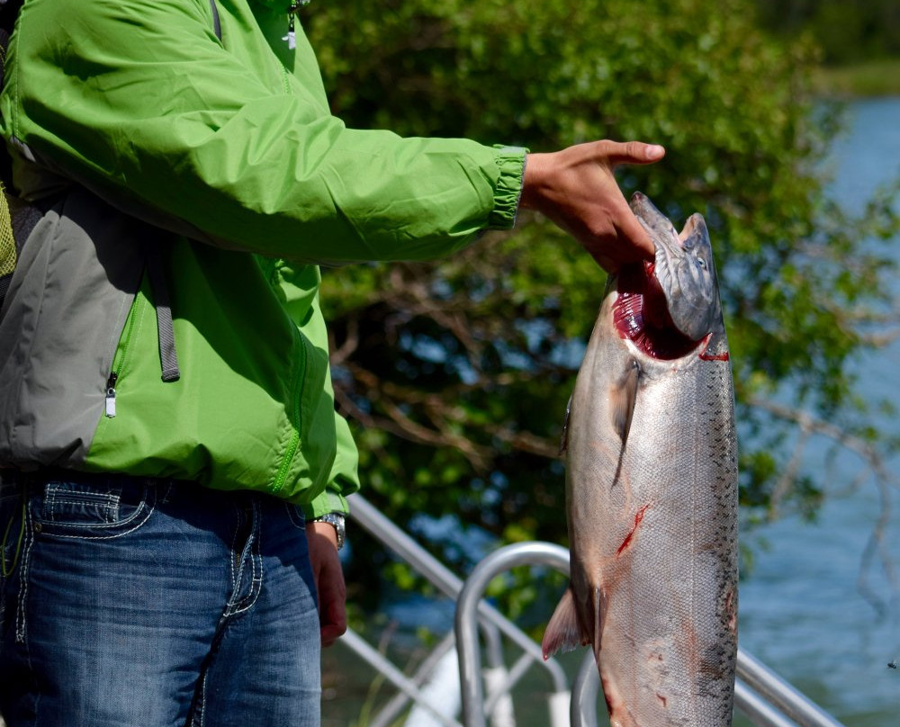 Jim Rusk Fishing-索尔多特纳必去景点