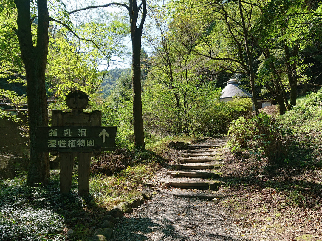 Odairanosato Shonyudo Park景点图片