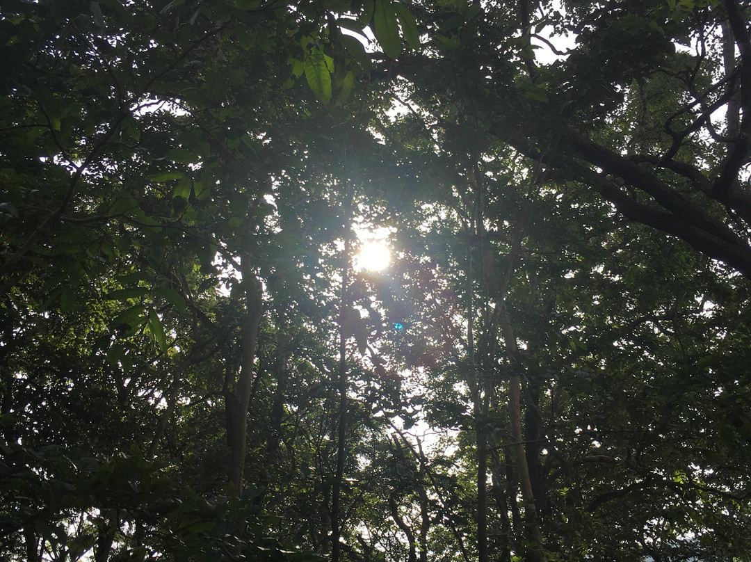 Supa Dam景点图片