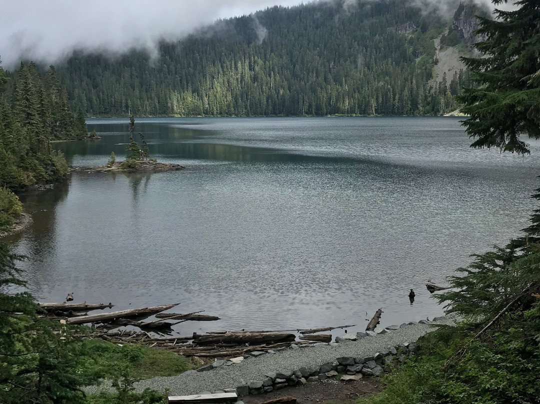 Tolmie Peak Trail景点图片
