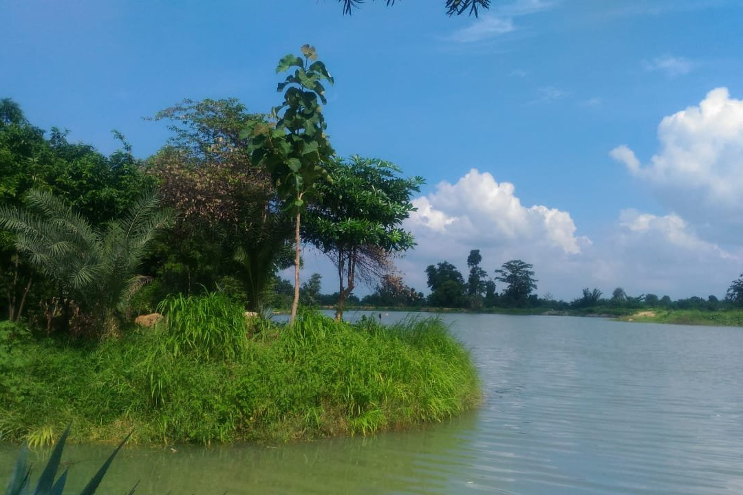 Regenta Resort Aranyaani主图