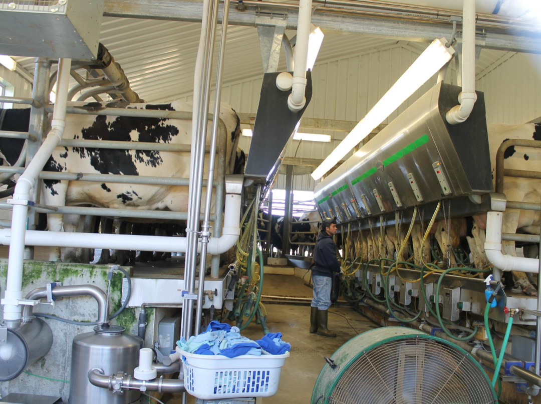 2023年North Smithfield旅游攻略 7North Smithfield酒店/景点/门票/美食/自助游/自驾/自由行/游玩