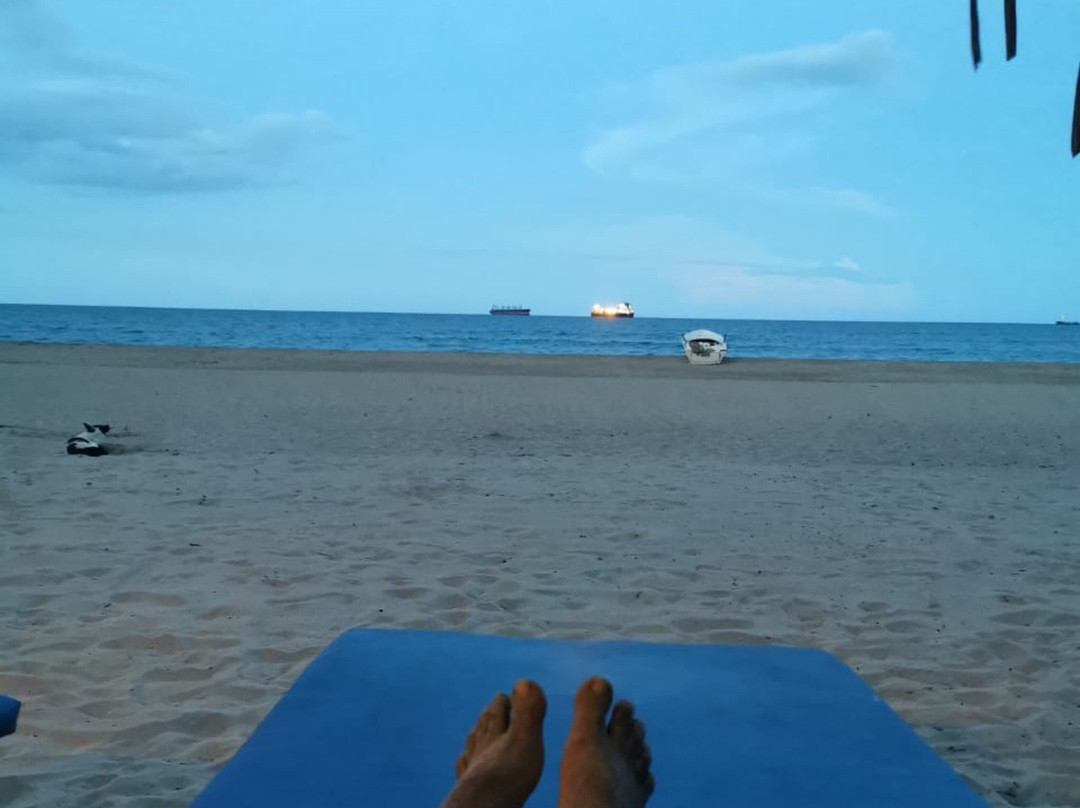 Elegant Green Beach Resort主图