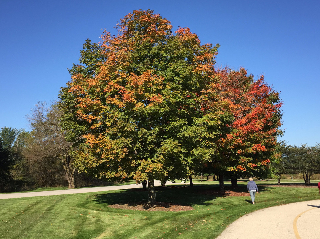 Independence Grove Forest Preserve-Libertyville必去景点