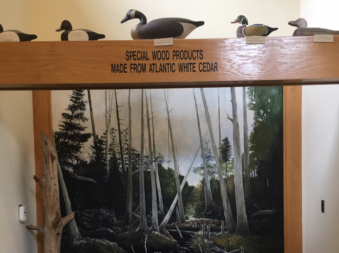 Wells Mills County Park景点图片