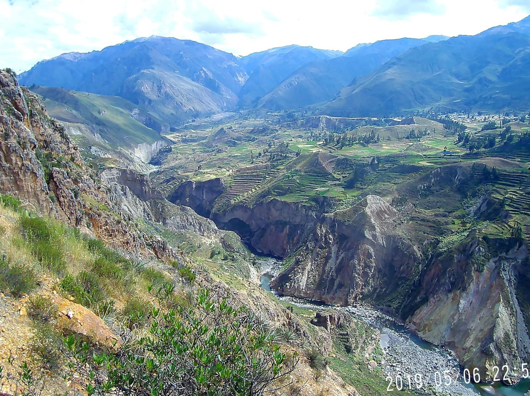 Colca Canyon景点图片