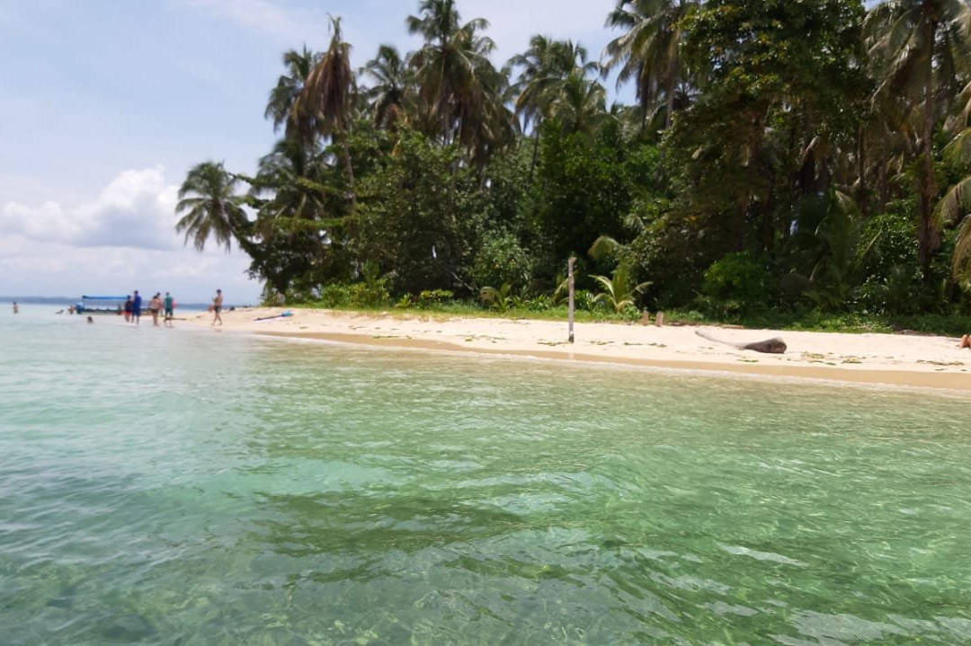 Bocas Water Excursions景点图片