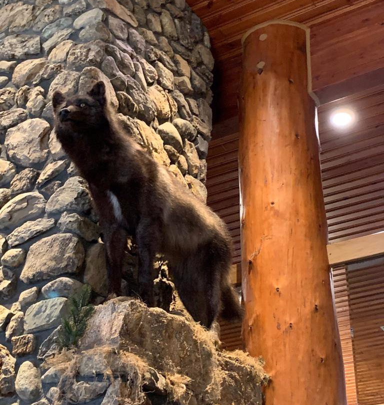 Greenwood Village Inn & Suites主图