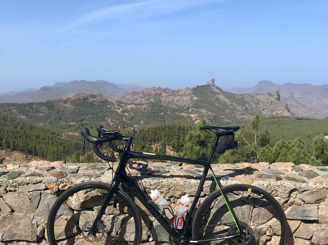 Free Motion Bikecenter - Puerto de Mogán-莫干港必去景点