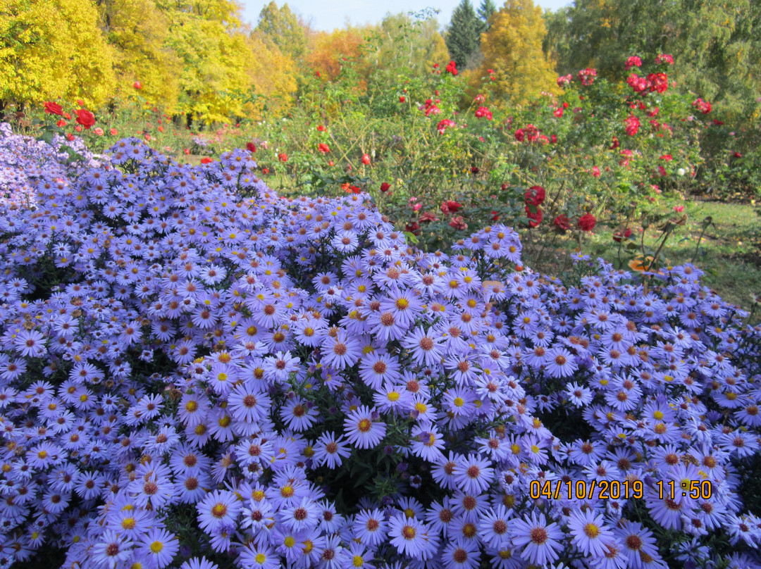 Donetsk Botanical Garden-顿涅茨克必去景点