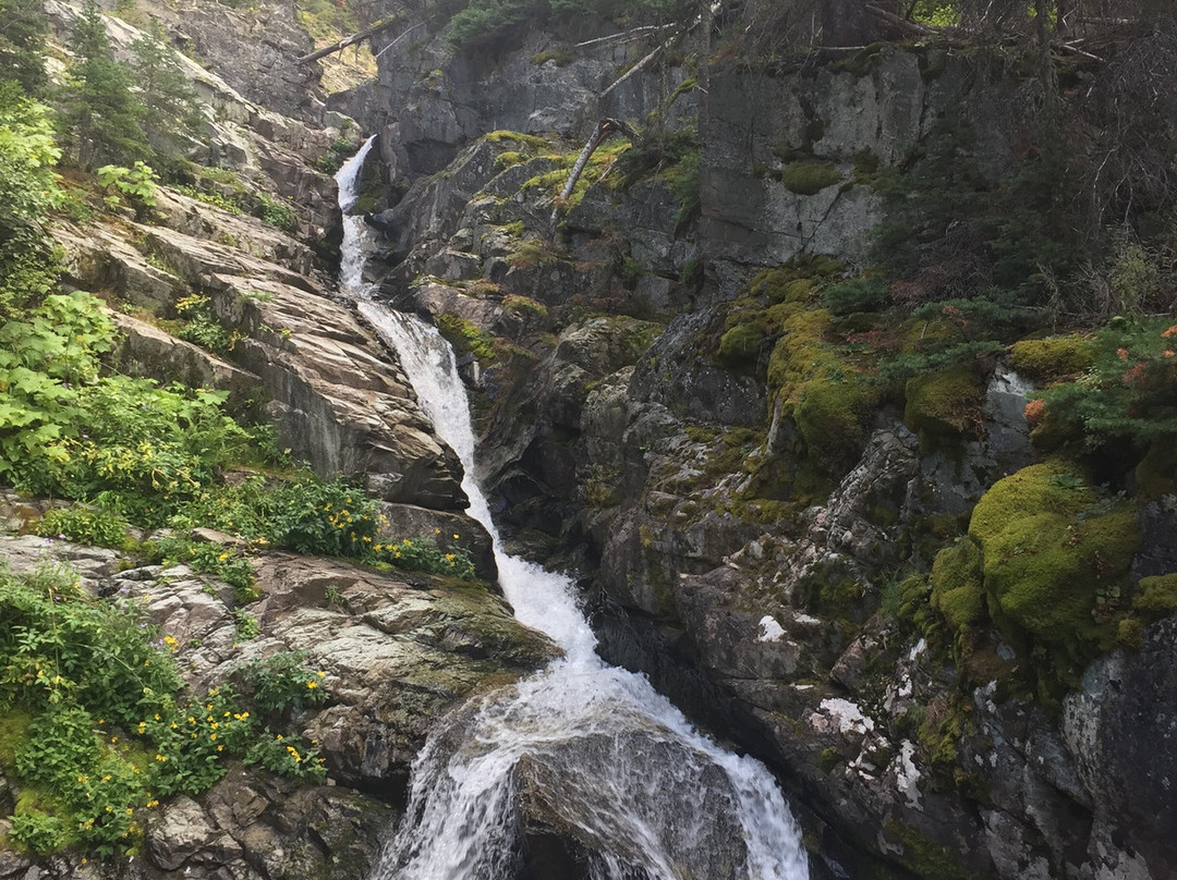 Aster Falls-东冰川公园必去景点