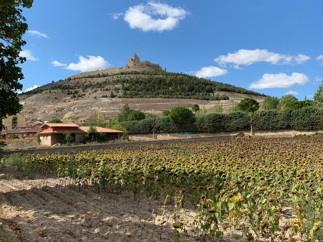 Emebed Posada Castrojeriz主图