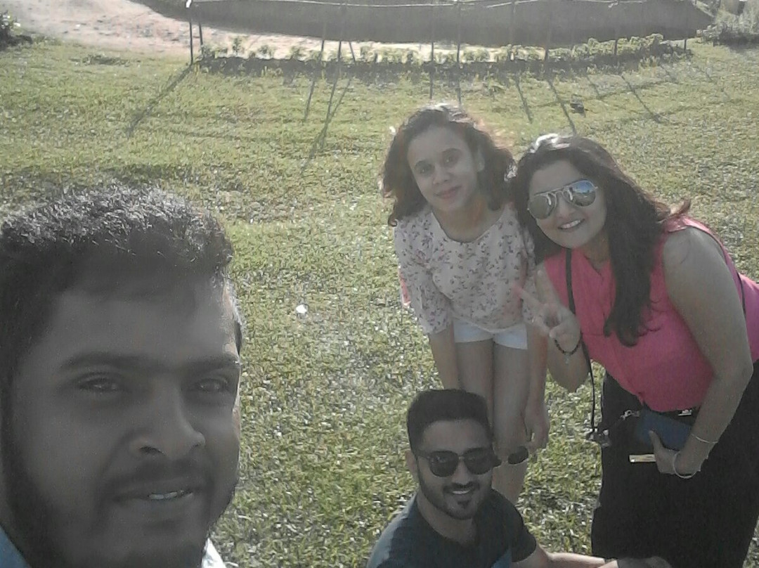 Meraki Tuk Tuk and Taxi Tours-Wellawaya必去景点