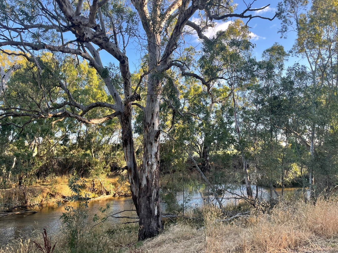 Axedale Platypus Compass