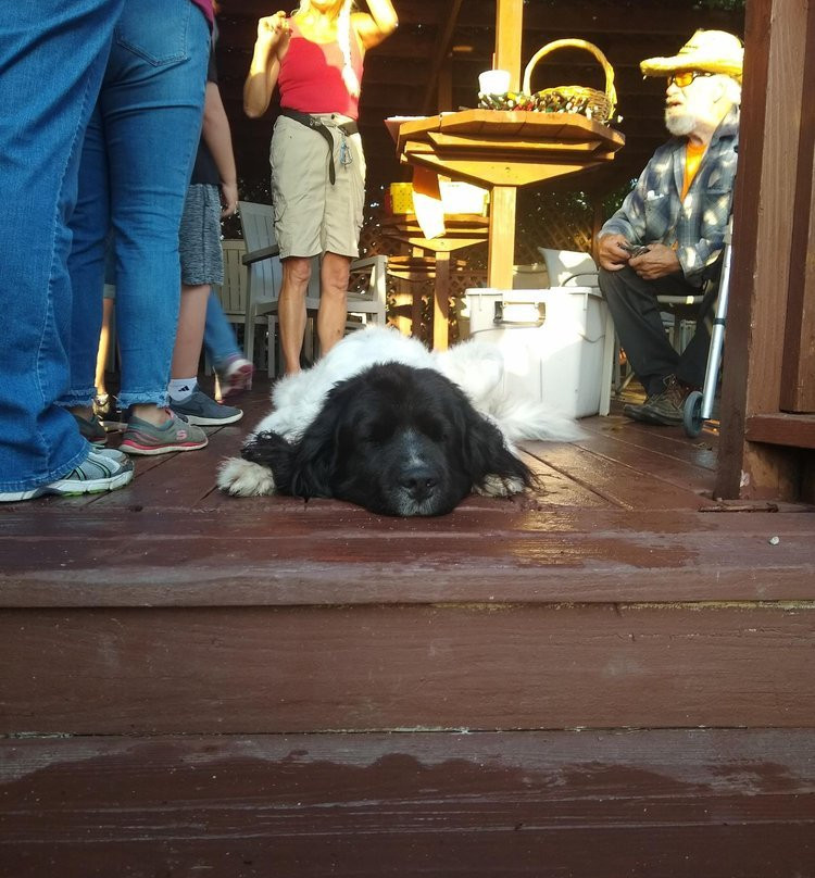 Basehor旅游攻略图片