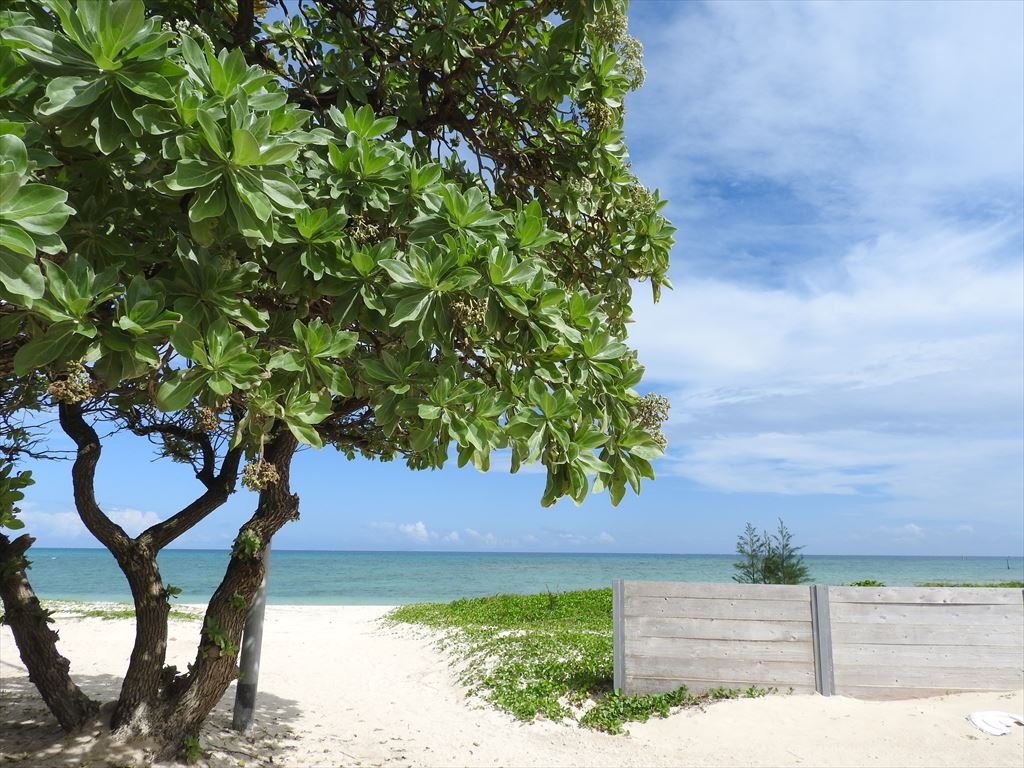 Watermark Hotel Okinawa Kume Island-泳池