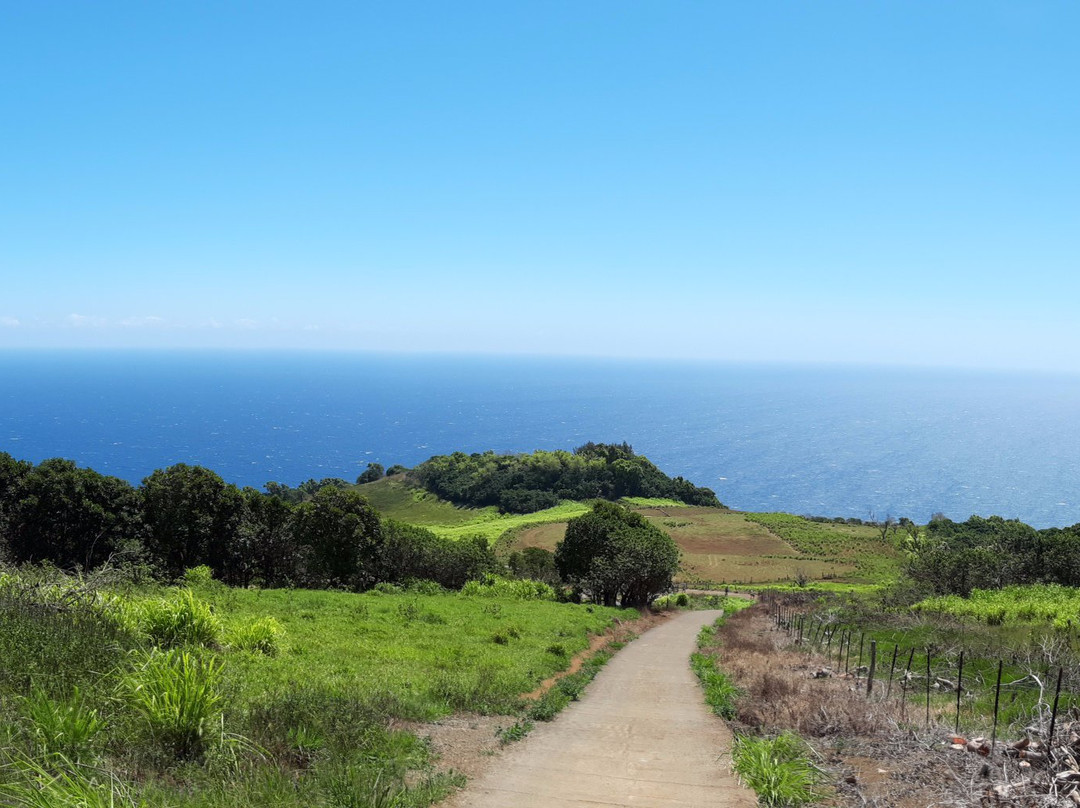 Waiheʻe Ridge Trail景点图片