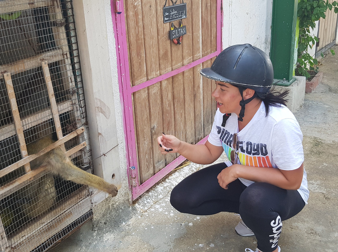 EkiClub-摩纳斯特必去景点