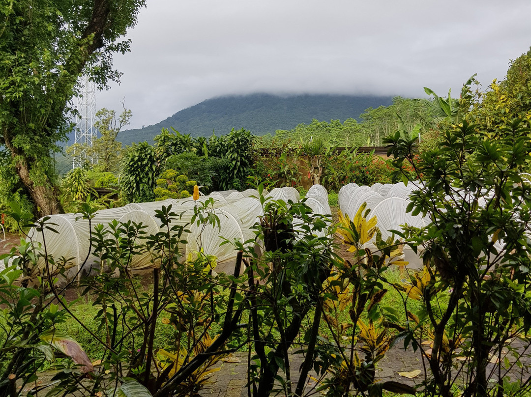 Strawberry Hill Hotel主图