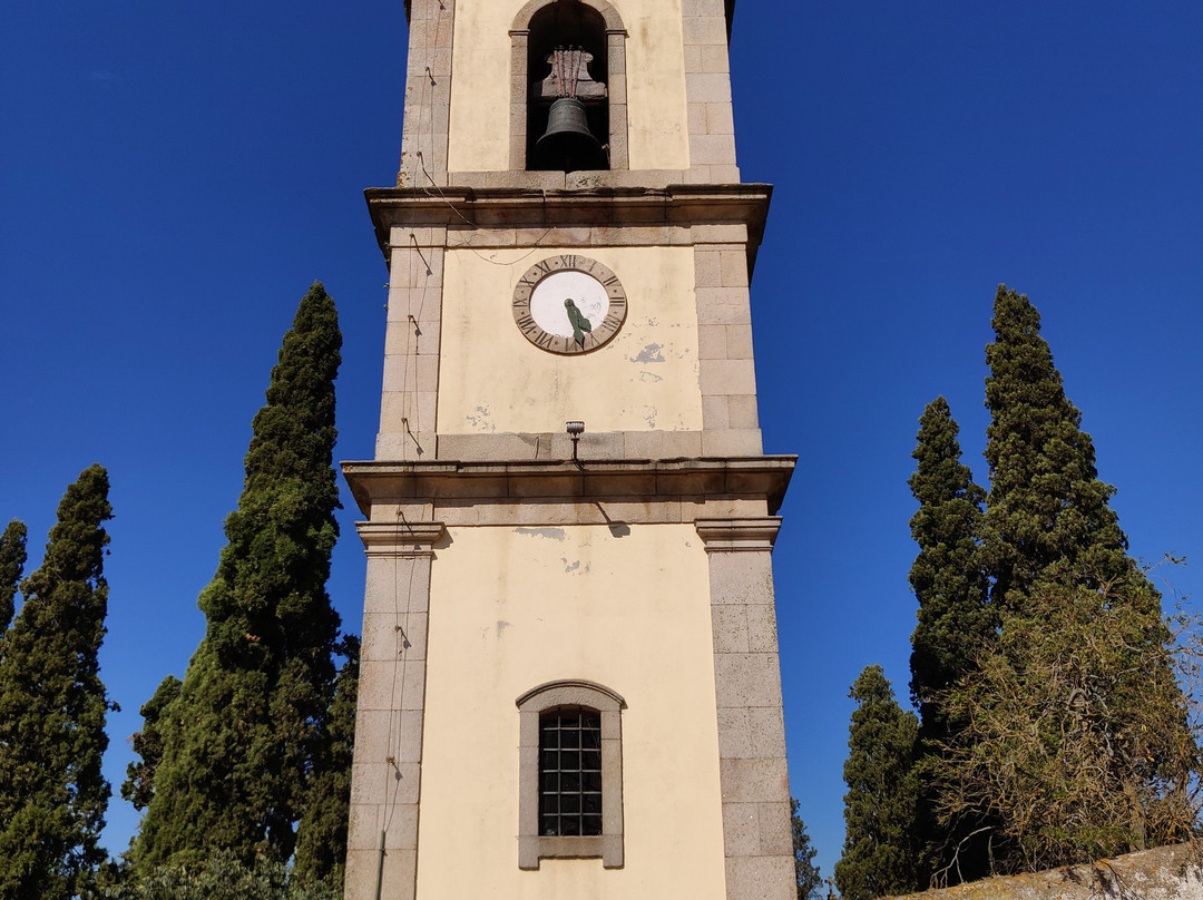 Torre do Relógio景点图片