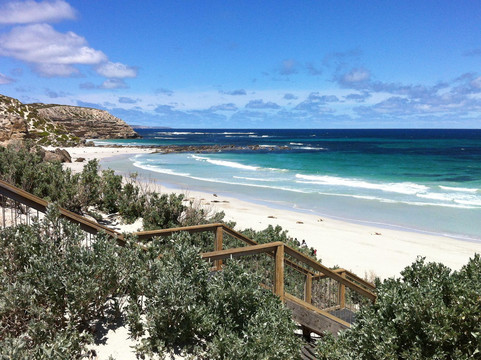 Wildlife Tours Australia - Adelaide-阿德莱德必去景点