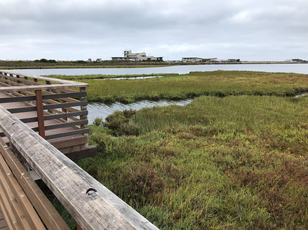 Bolsa Chica Ecological Reserve-亨廷顿海滩必去景点