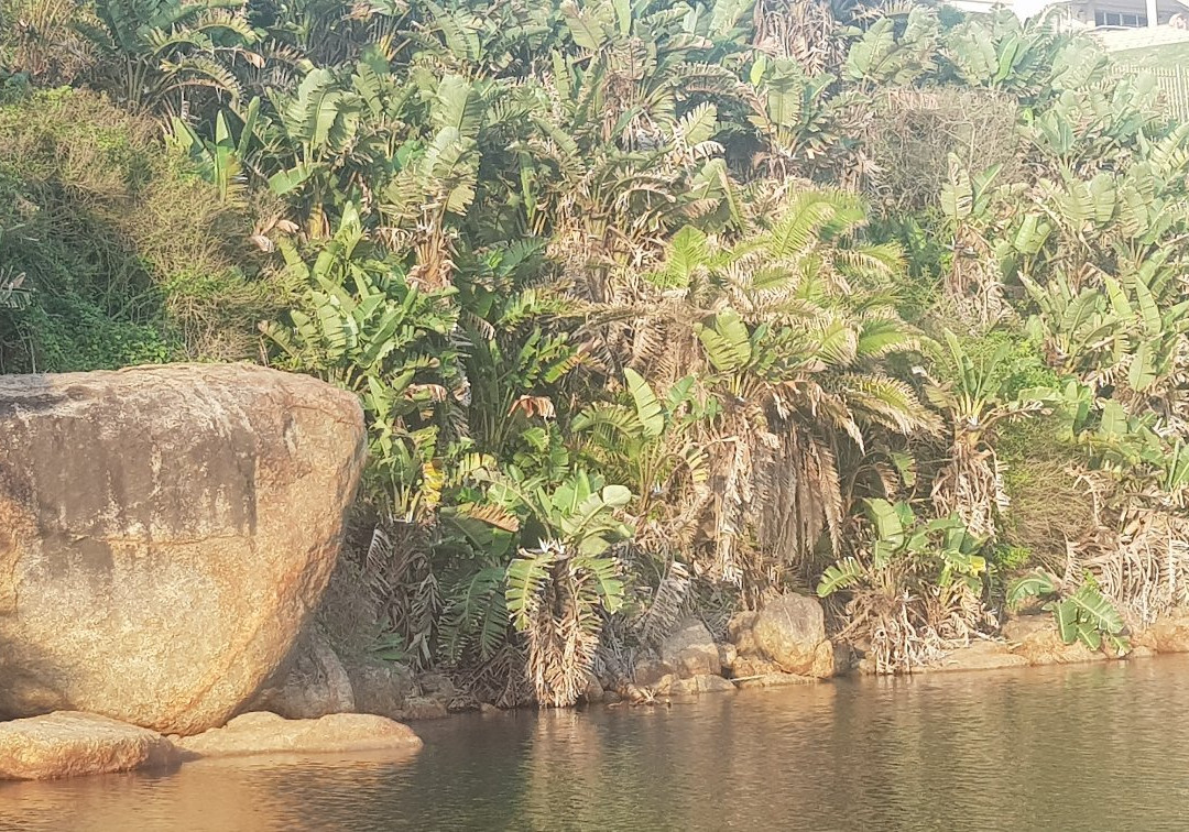 Glenmore Beach-Glenmore Beach必去景点