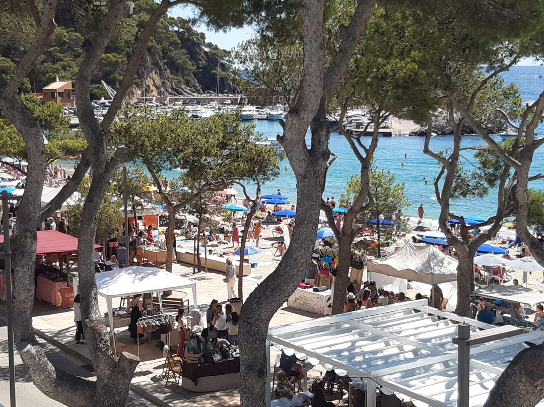 特拉马尔酒店主图