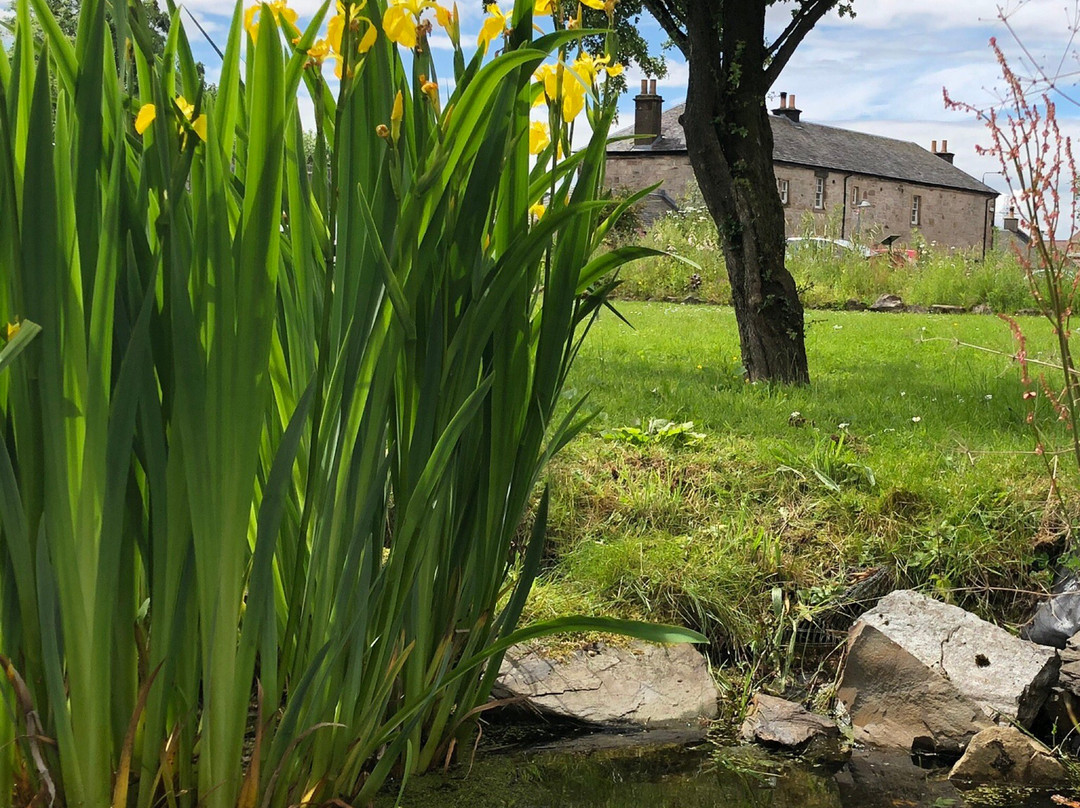 Lambhill Stables-格拉斯哥必去景点