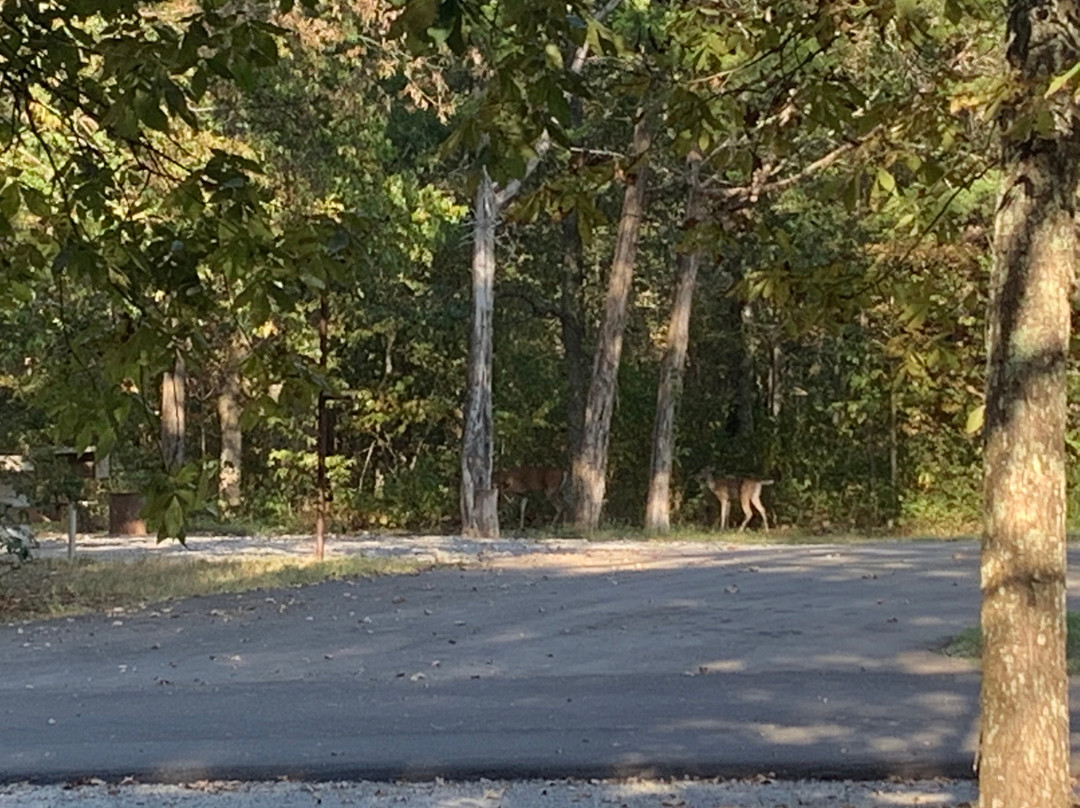Cedars of Lebanon State Park-Lebanon必去景点
