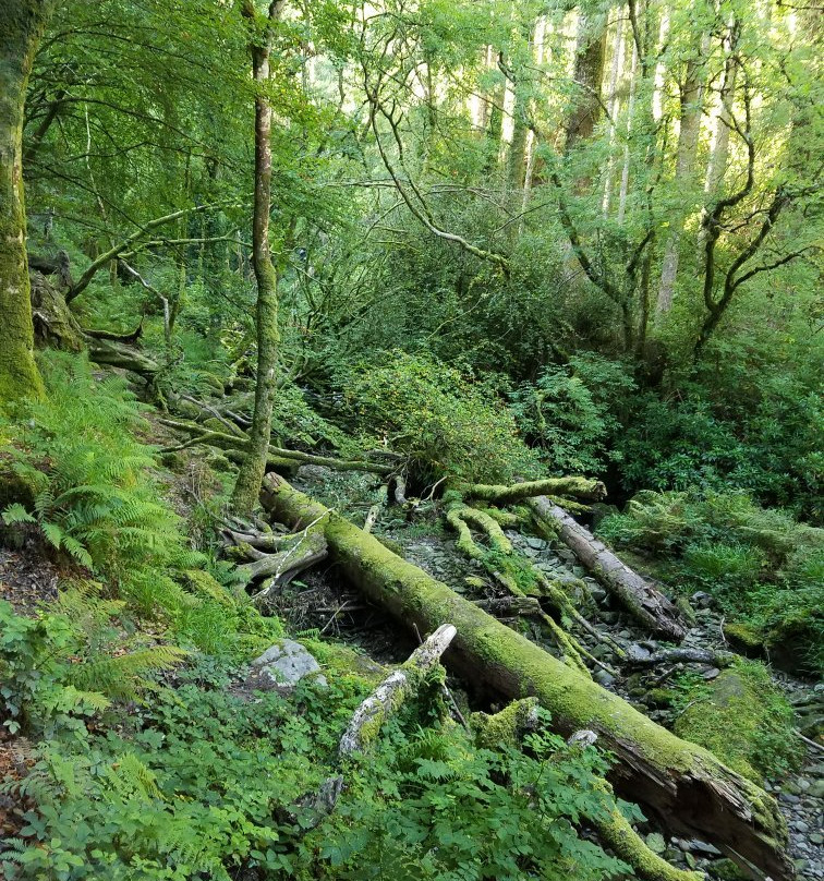 Torc Waterfall景点图片