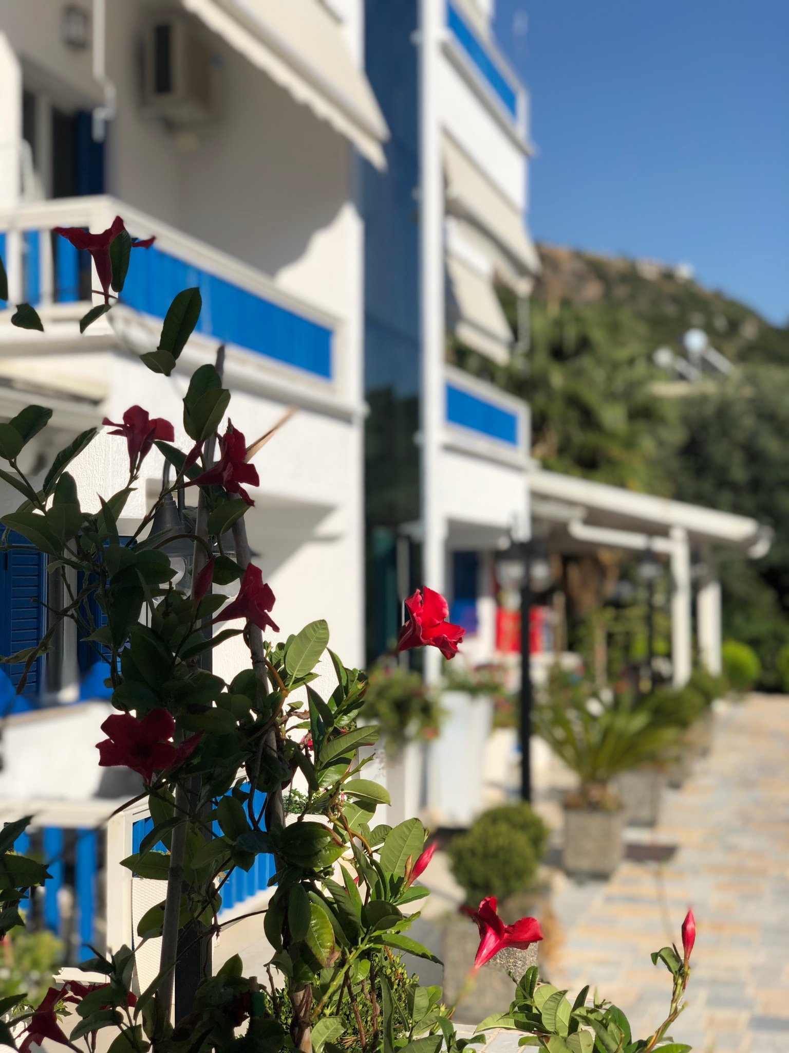 Sofo Hotel Dhermi-官方