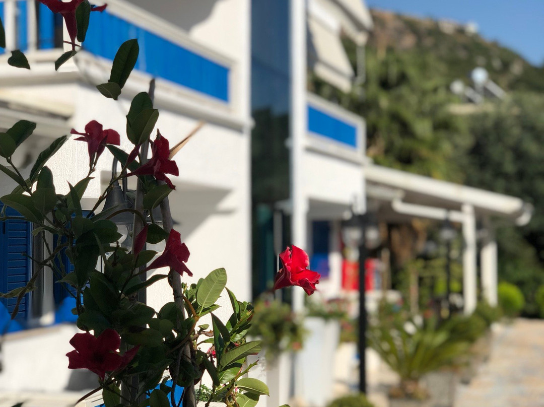 Sofo Hotel Dhermi主图