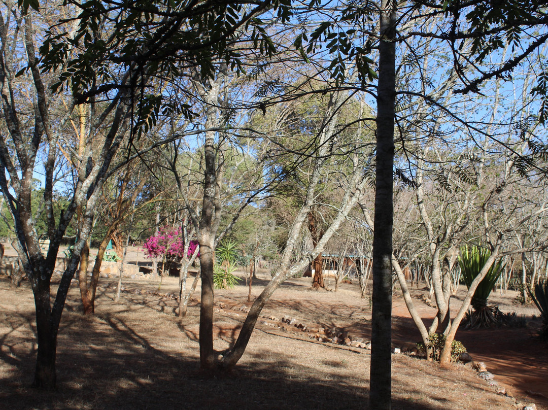 Maralal Safari Lodge主图