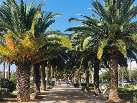 索尔海滩酒店主图